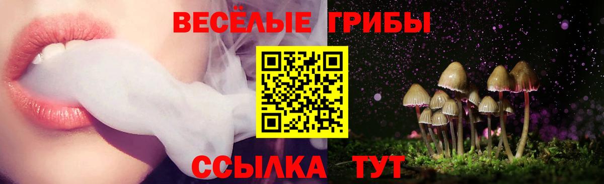 Псилоцибиновые грибы GOLDEN TEACHER  Вход с VPN  Губкин  Псилоцибиновые грибы прущие грибы 